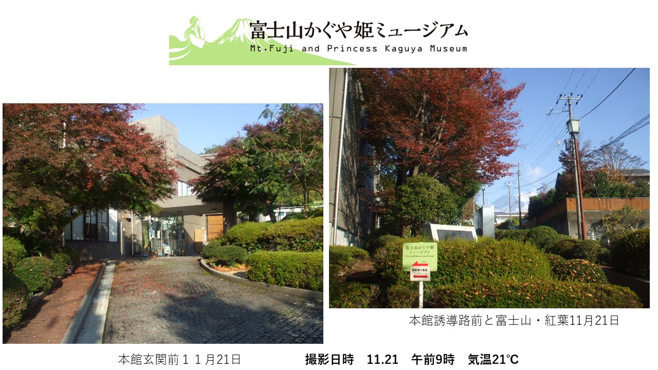 かぐや姫無ミュージアム2020年11月の富士山写真.JPG