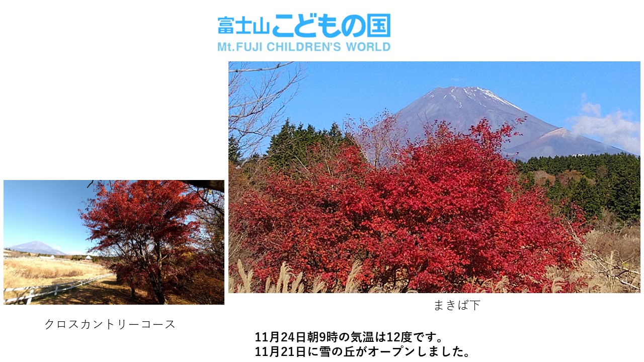 こどもの国2020年11月の富士山写真.JPG