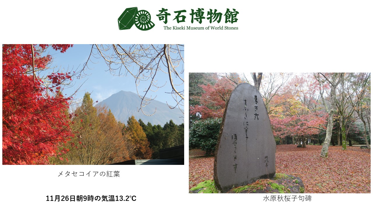 奇跡博物館2020年11月の富士山写真.JPG