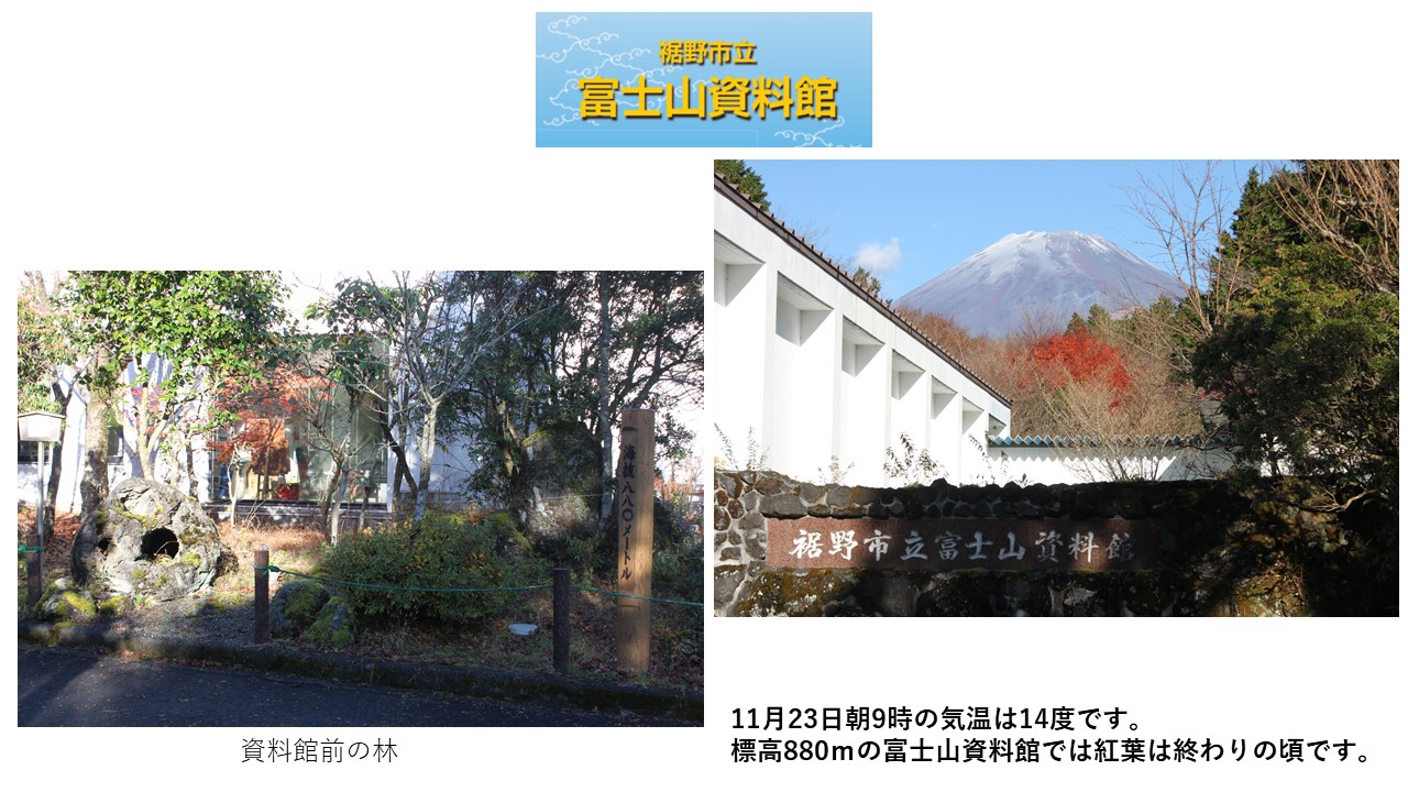 富士山資料館2020年11月富士山写真.JPG