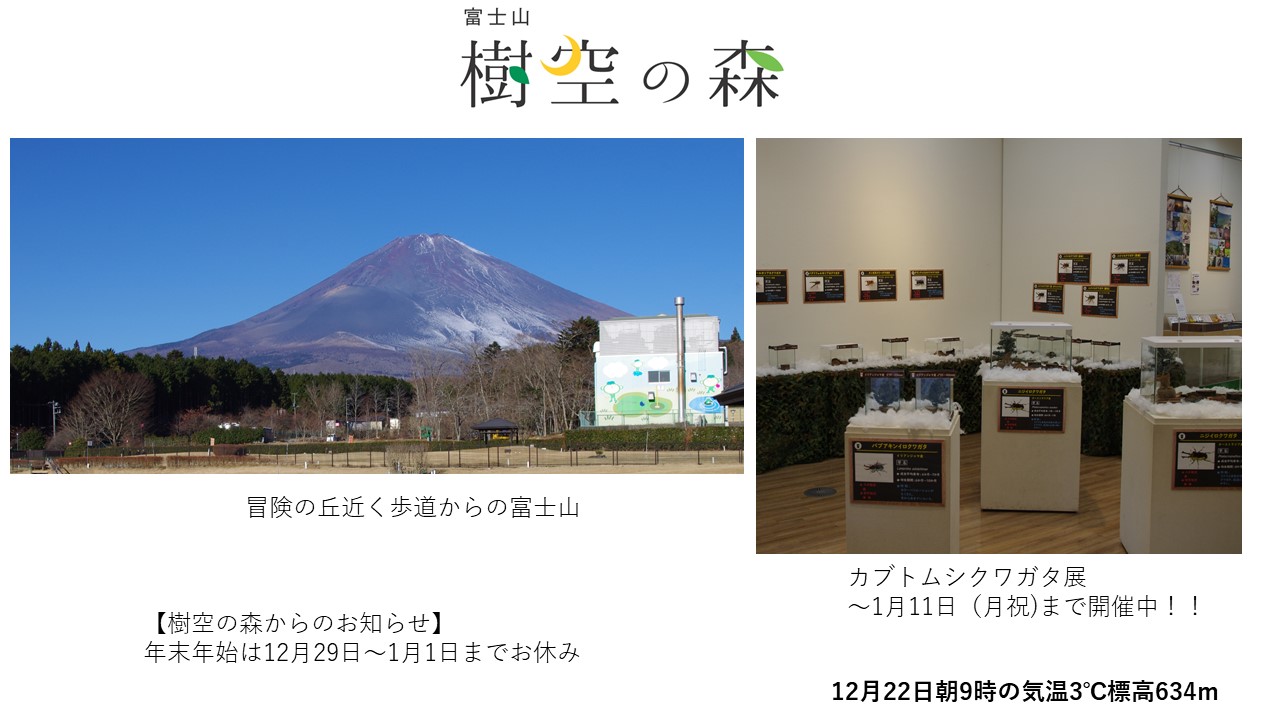 2020.12富士山樹空の森.JPG