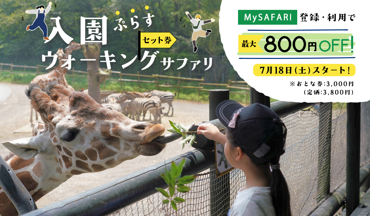 入園+WSセット券1.jpg