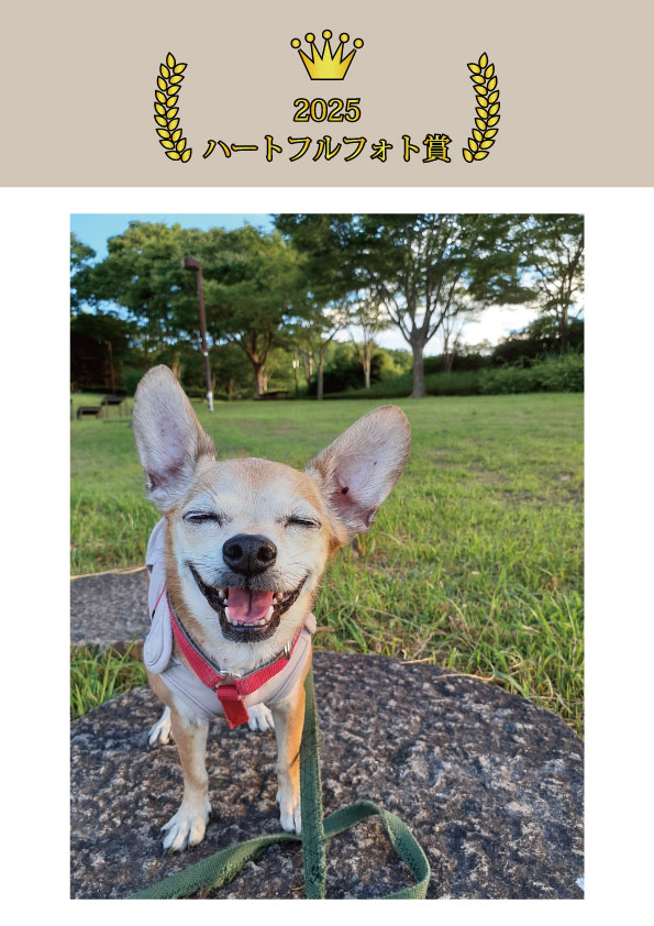 2025ハートフルフォト賞.jpg