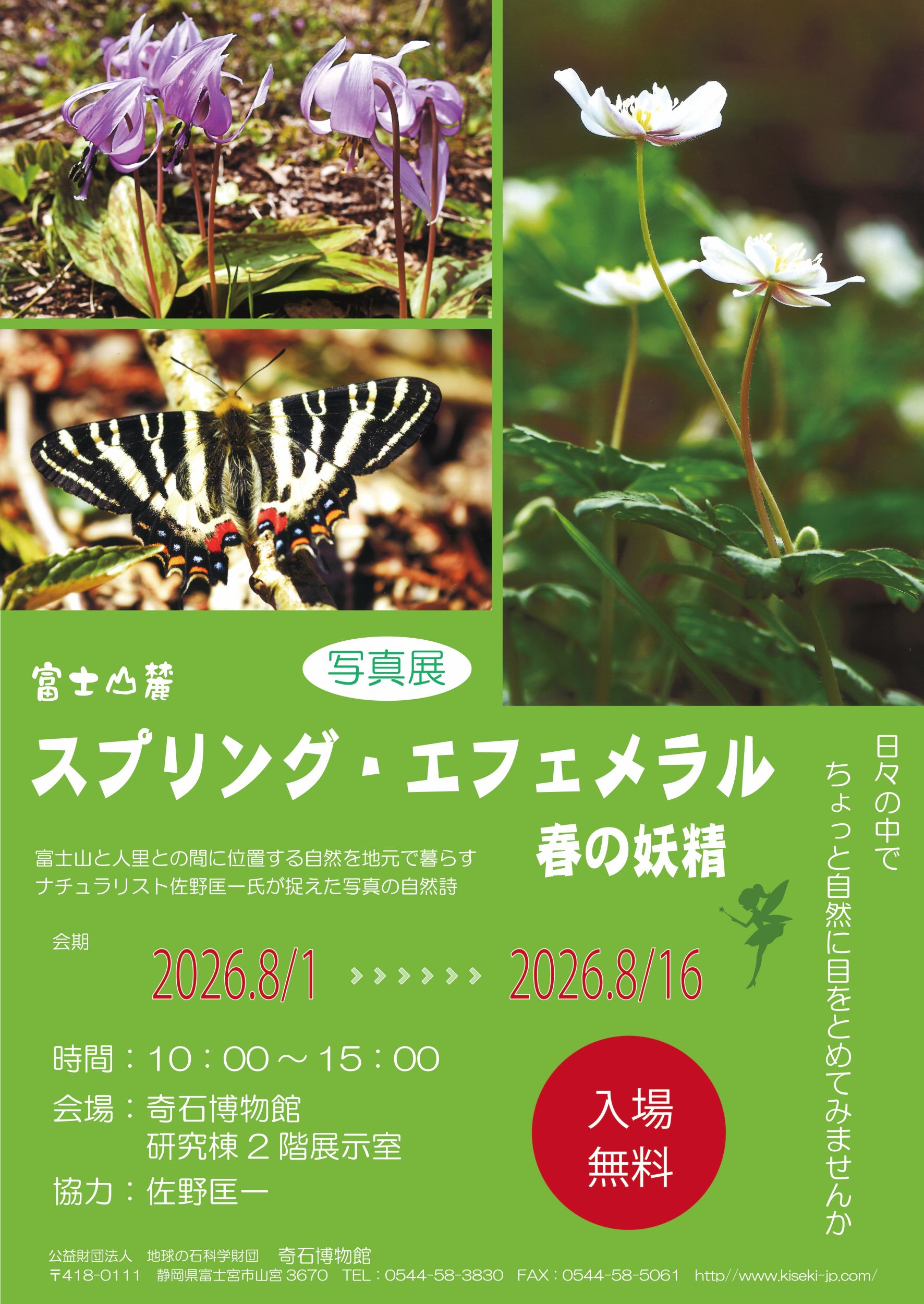 2026写真展_奇石.jpg