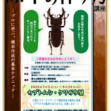 2025年標本の標本の作り方講座