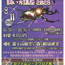 2025年ニジイロクワガタ飼い方講座