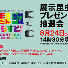 展示昆虫プレゼント抽選会