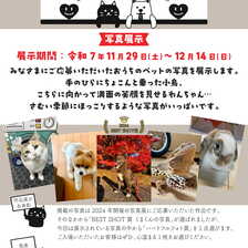 にこにこペットギャラリー