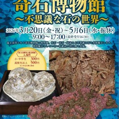 出張！奇石博物館～不思議な石の世界～