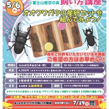 第一回オオクワガタ飼い方講座