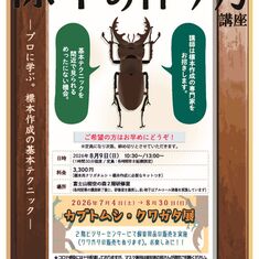 令和8年度標本の作り方講座