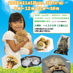 ふれあい動物園