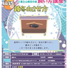 2026年第3回オオクワガタ飼い方講座
