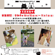 Pワン！ぐらんぷり-うちの子じまん写真コンテスト-　写真募集